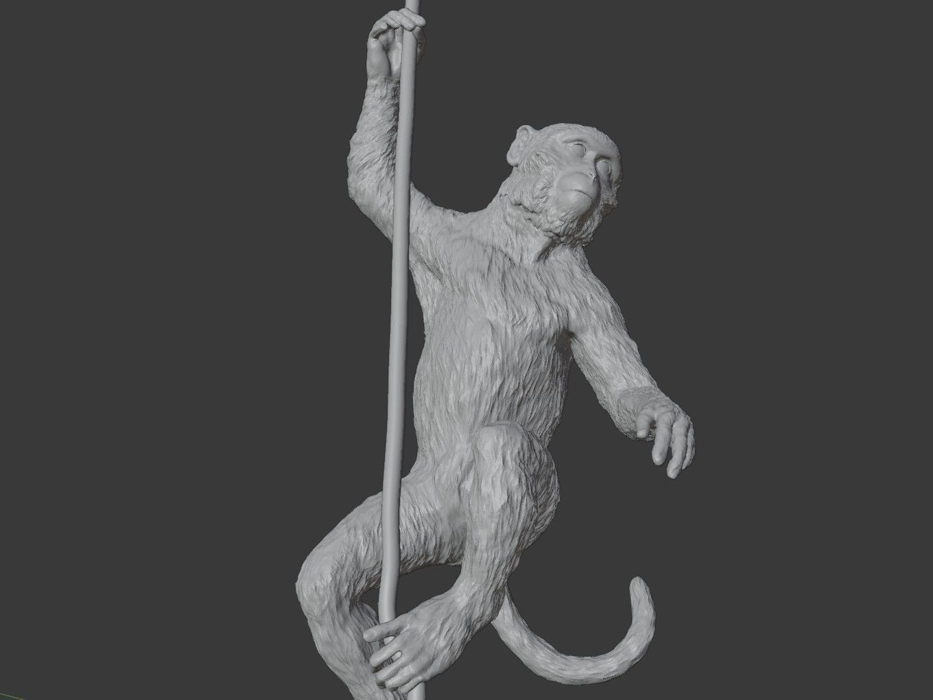 Long Tailed Macaque 3D print model_12