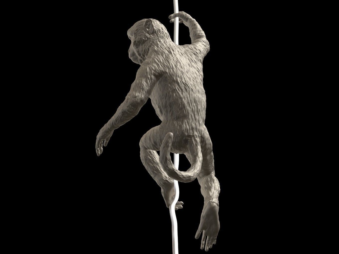 Long Tailed Macaque 3D print model_3