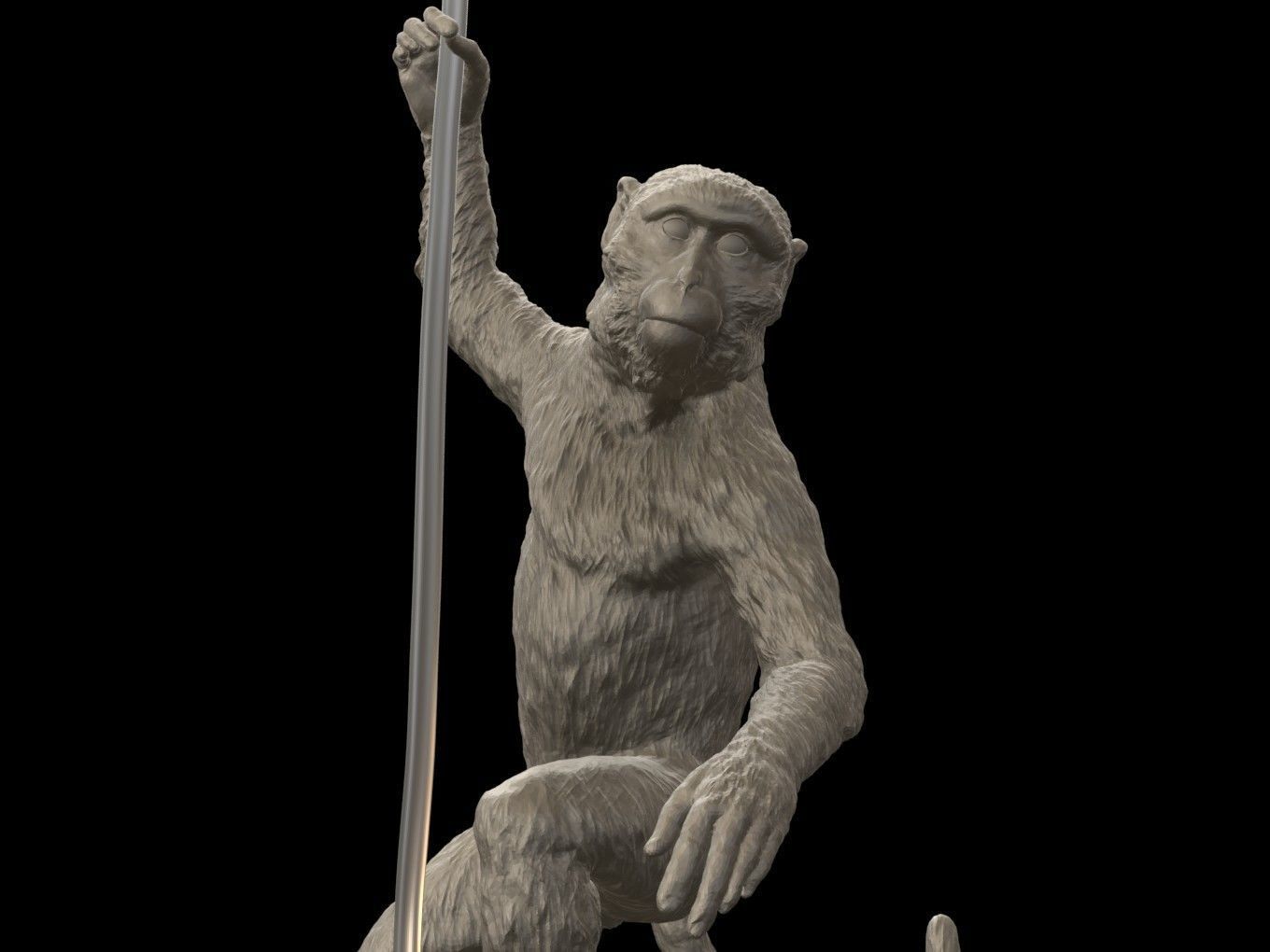 Long Tailed Macaque 3D print model_7