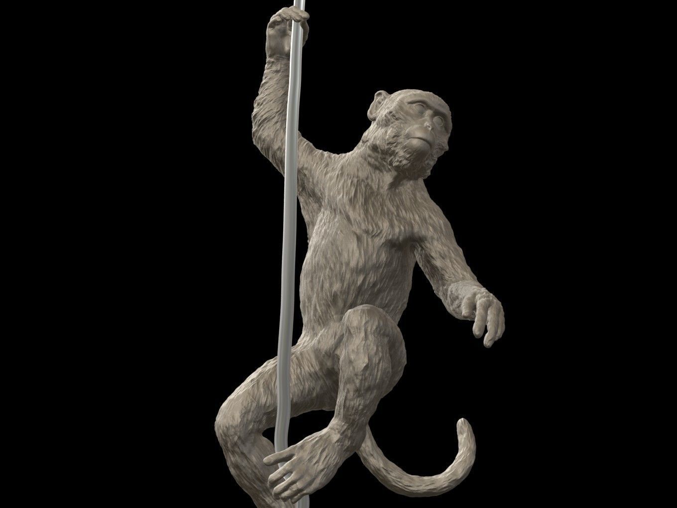 Long Tailed Macaque 3D print model_11