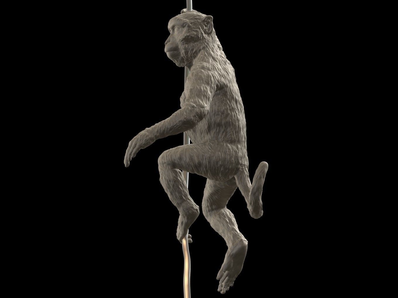 Long Tailed Macaque 3D print model_2