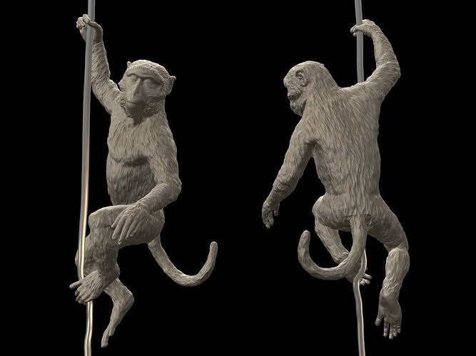Long Tailed Macaque 3D print model