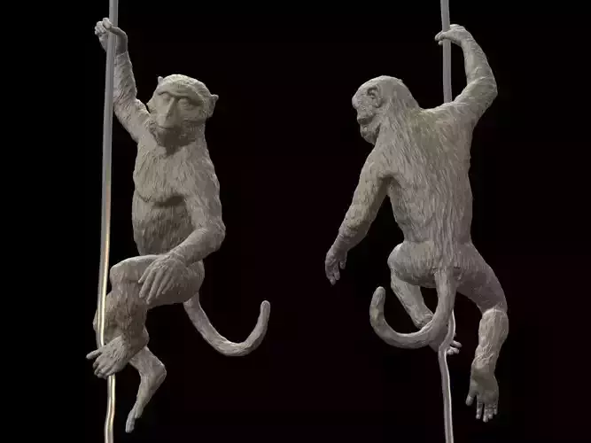 Long Tailed Macaque 3D print model