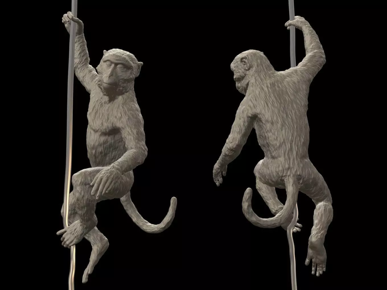Long Tailed Macaque 3D print model_0