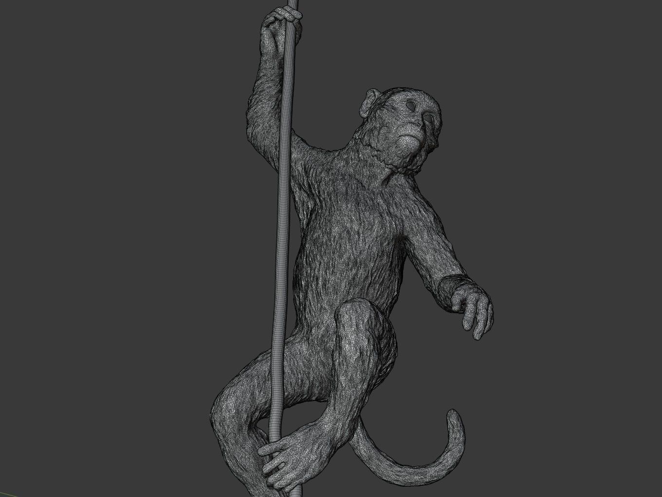 Long Tailed Macaque 3D print model_13