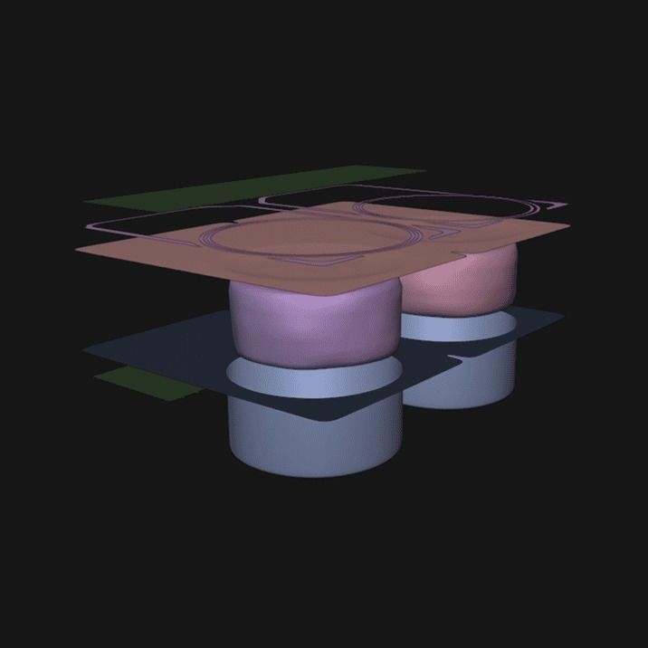 Package Of Meat 2 3D model_4