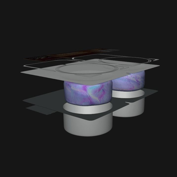 Package Of Meat 2 3D model_5