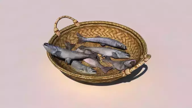 fish basket