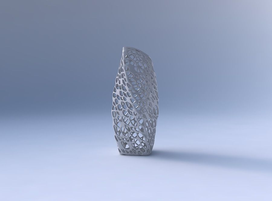 Vase twisted arc rectangle with dense organic lattice 3D print model_4