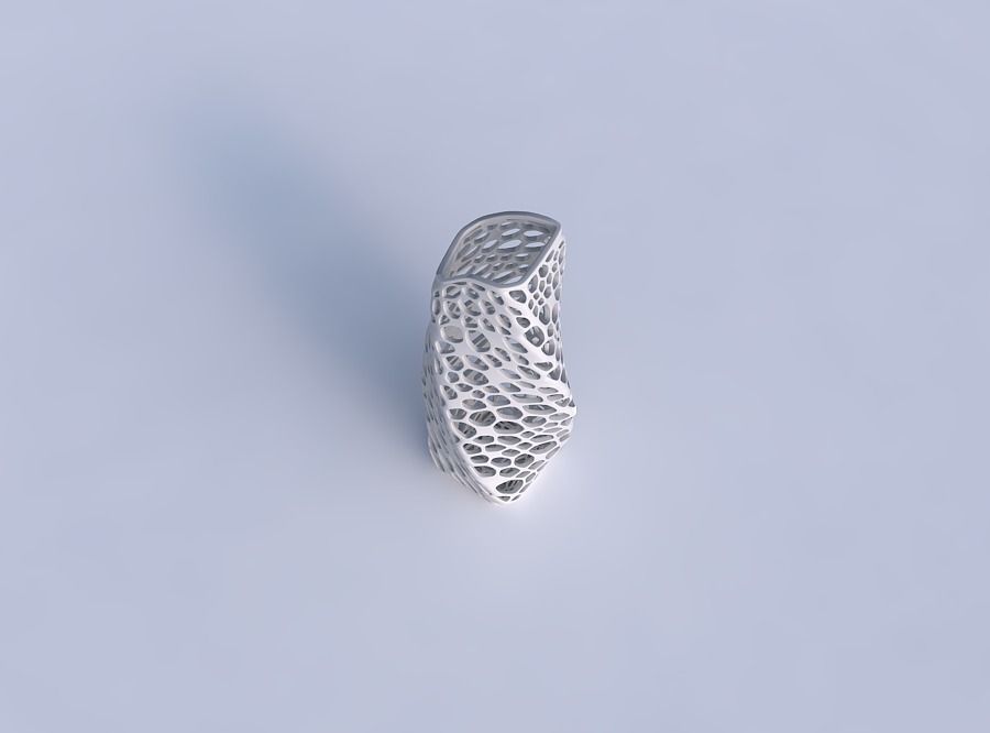 Vase twisted arc rectangle with dense organic lattice 3D print model_1