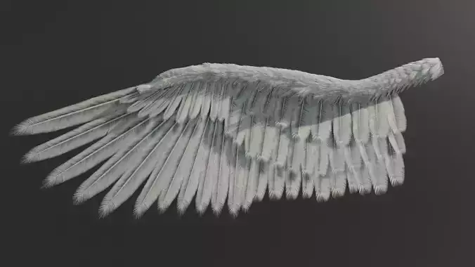 Wing Angels  Bird
