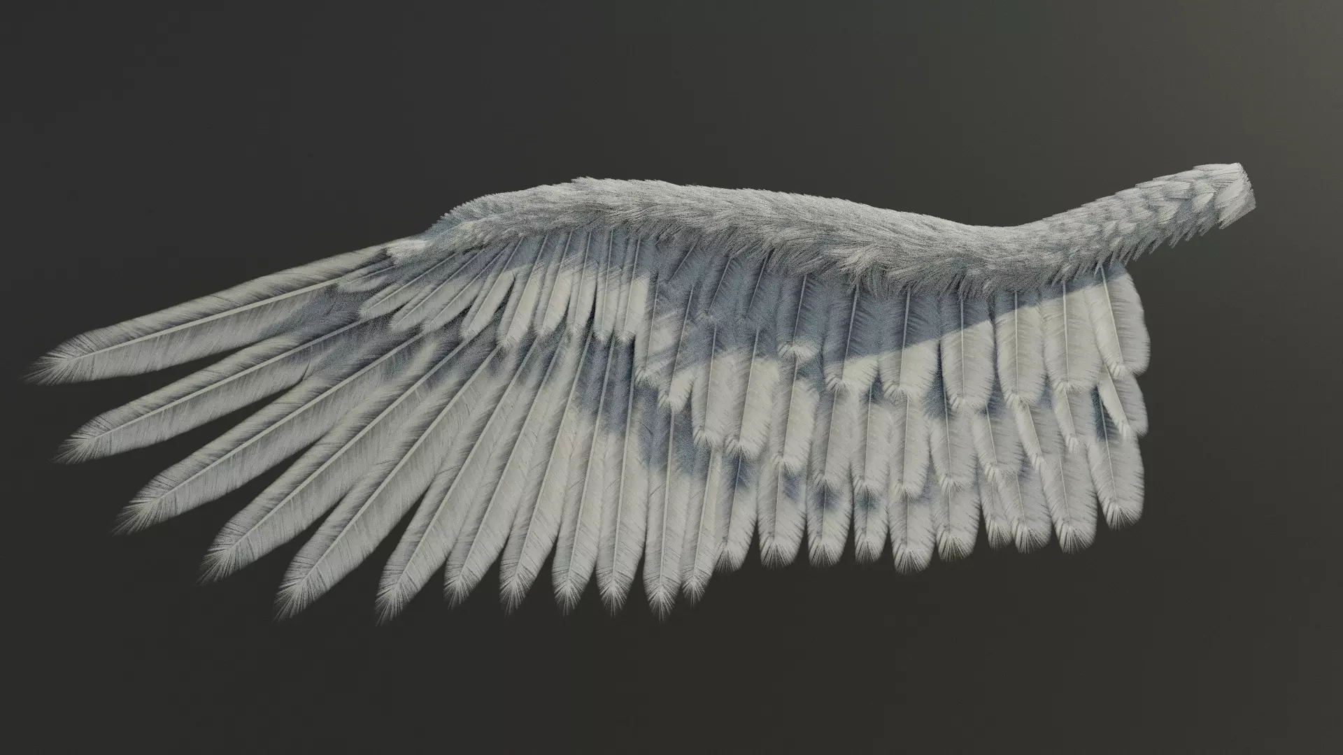 Wing Angels Bird Low-poly 3D model