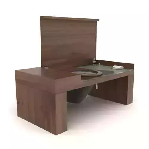 Hidden Wooden Toilet