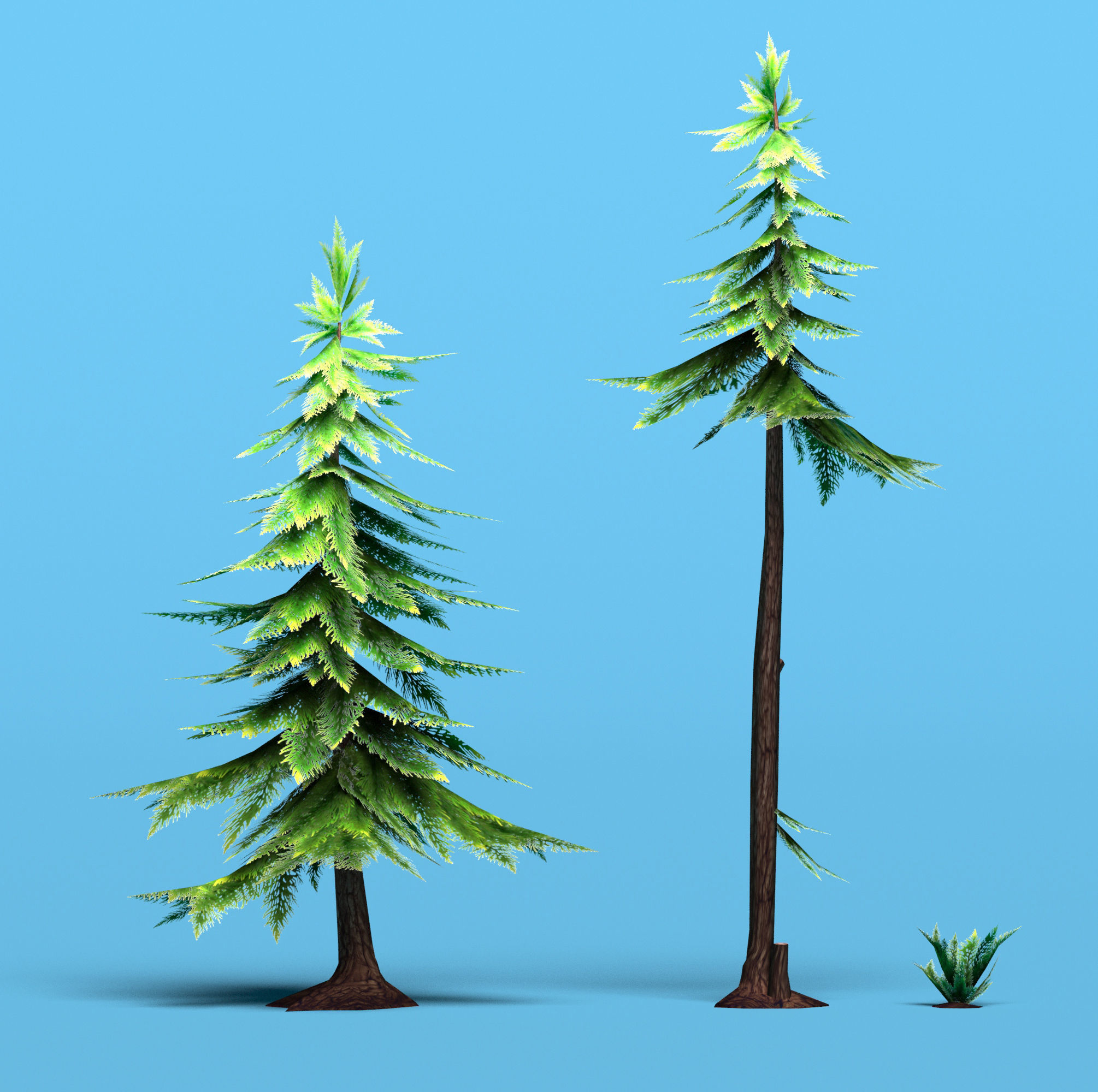 Conifer trees pines low poly Set of 10 items Low-poly 3D model_2