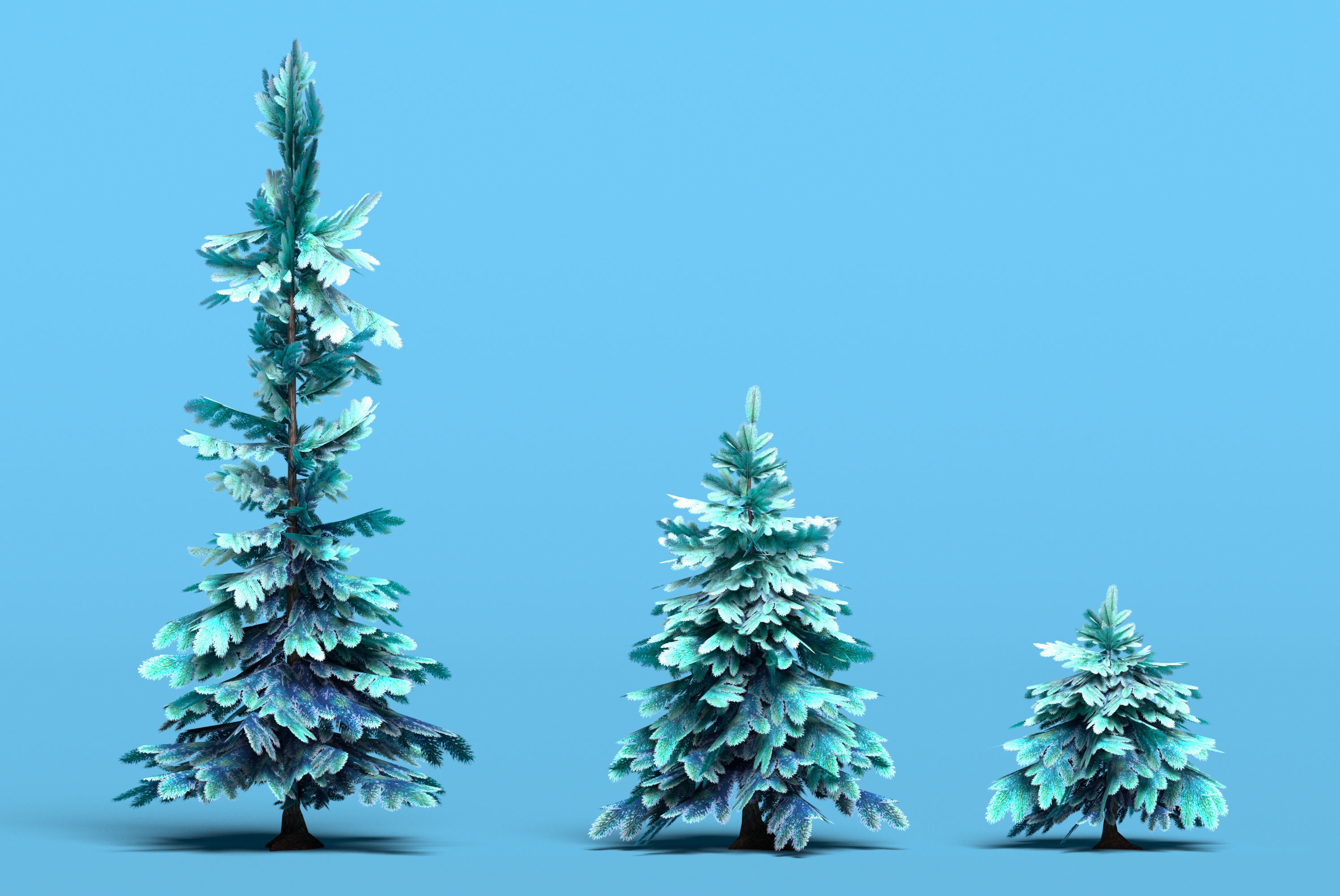 Conifer trees pines low poly Set of 10 items Low-poly 3D model_4