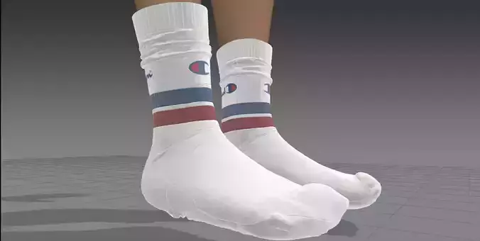 champion socks