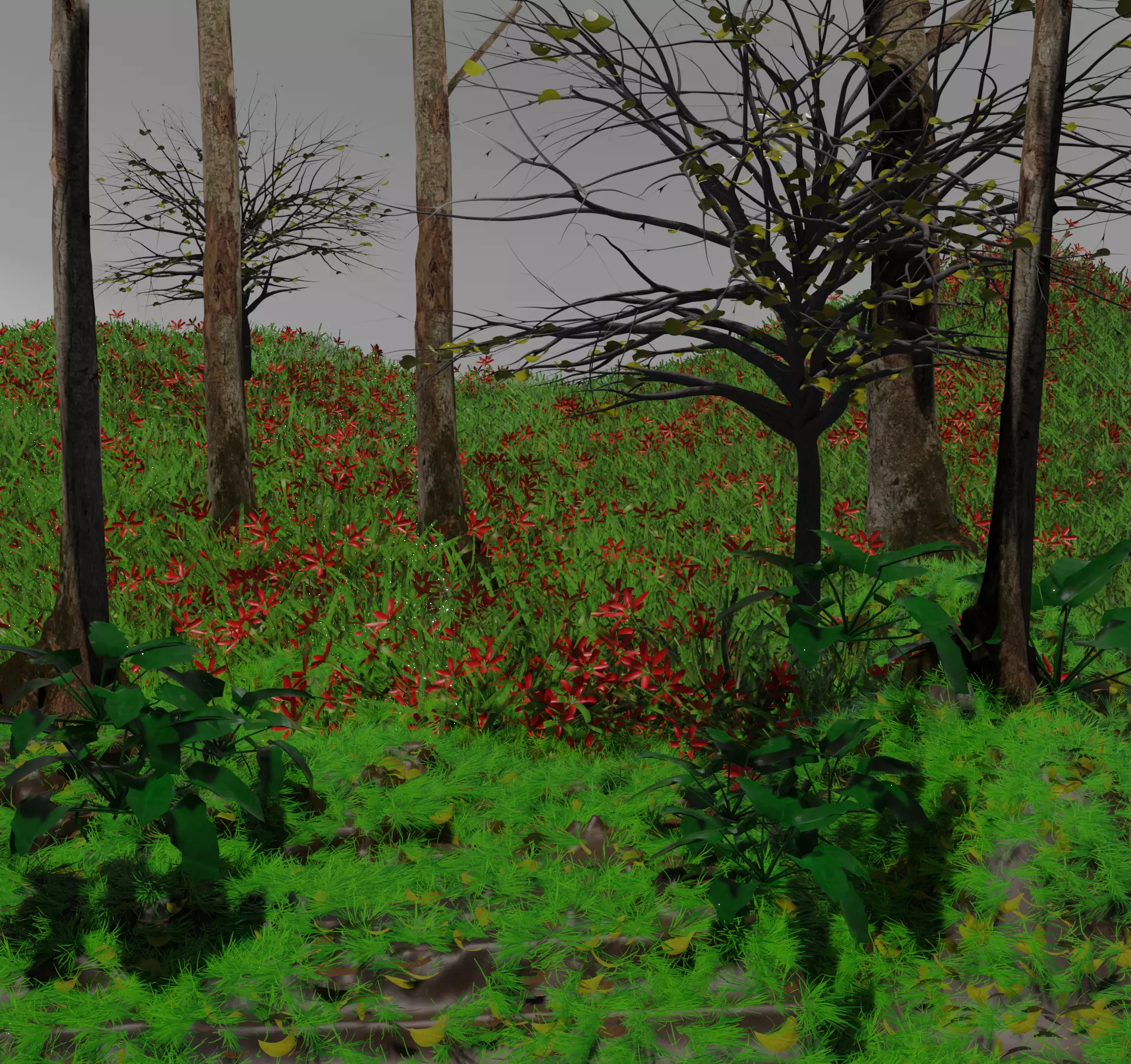 red grassy field Free 3D model