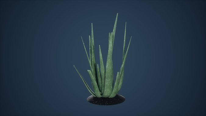 Aloevera Low Poly Game Ready aloe plant Low-poly 3D model