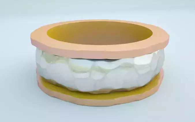 High poly segments ring design