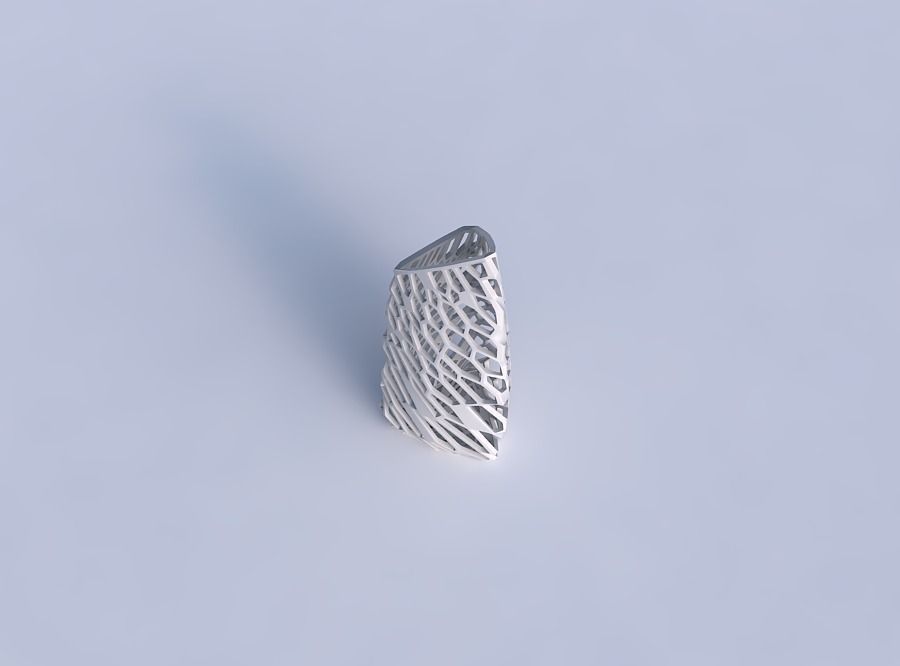 Vase tipped triangle with faceted and twisted organic lattice 2 3D print model_1