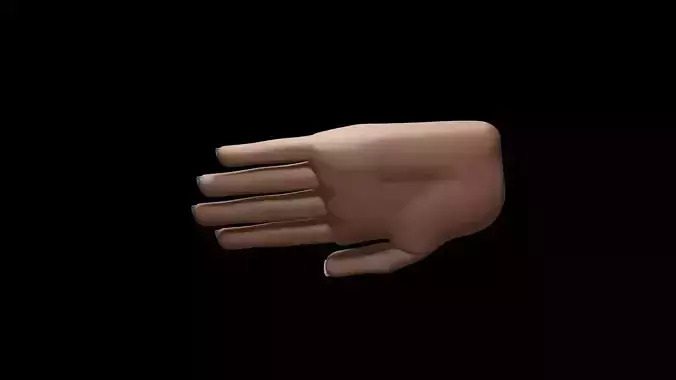 3d Woman Hand Model