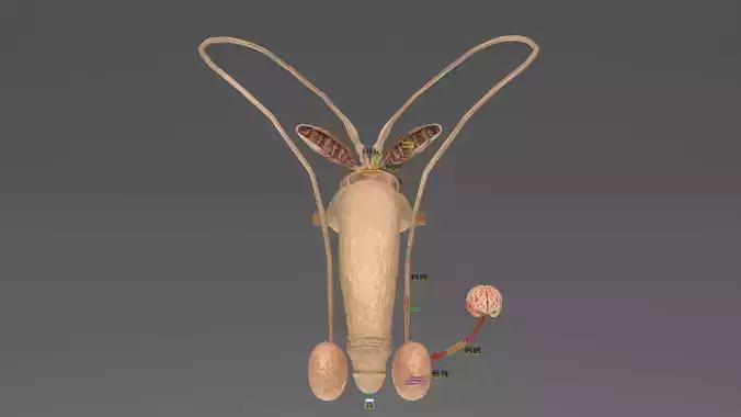 Seminal fluid according to cause of azoospermia