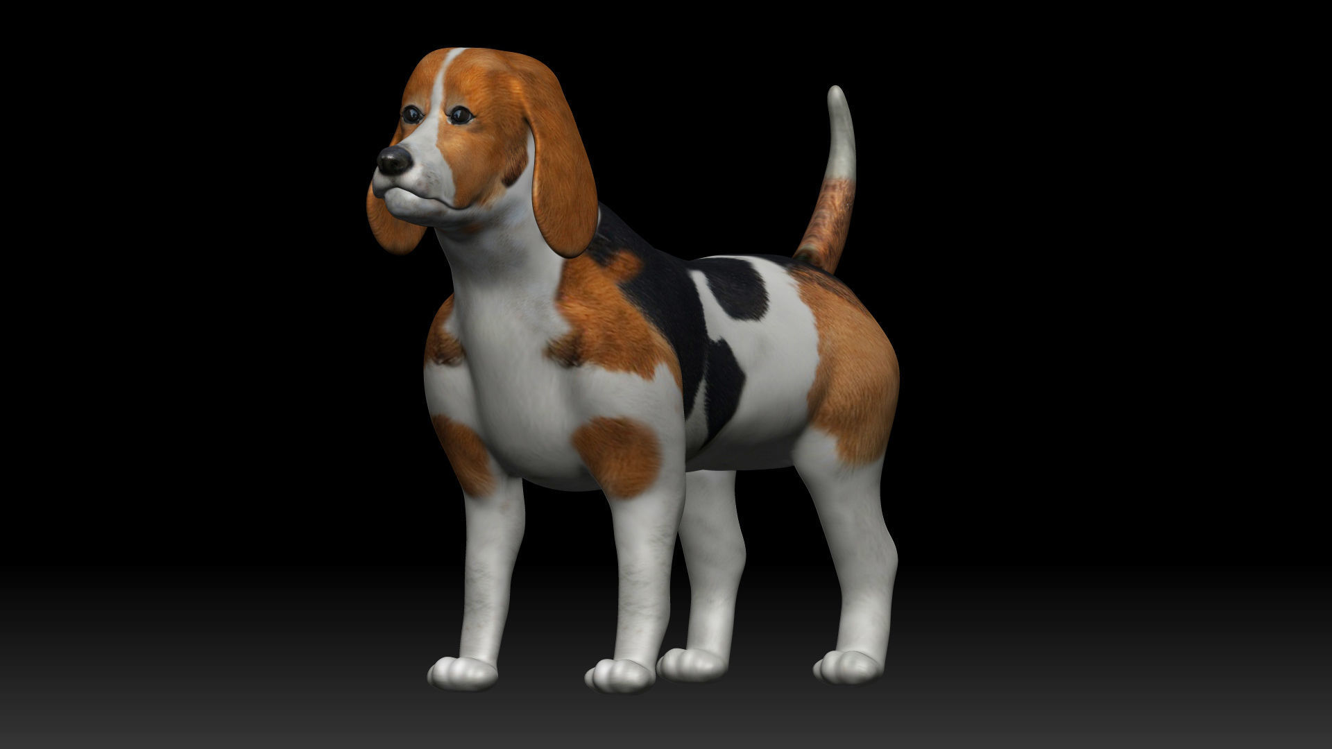 Beagle Dog Low-poly 3D model_2
