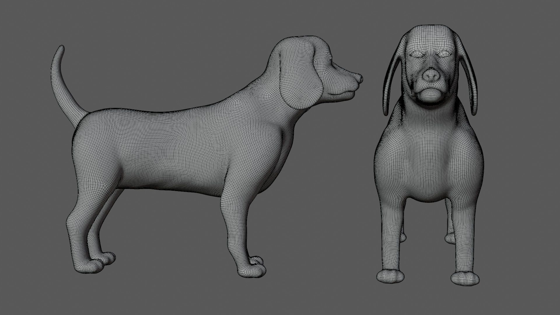 Beagle Dog Low-poly 3D model_7