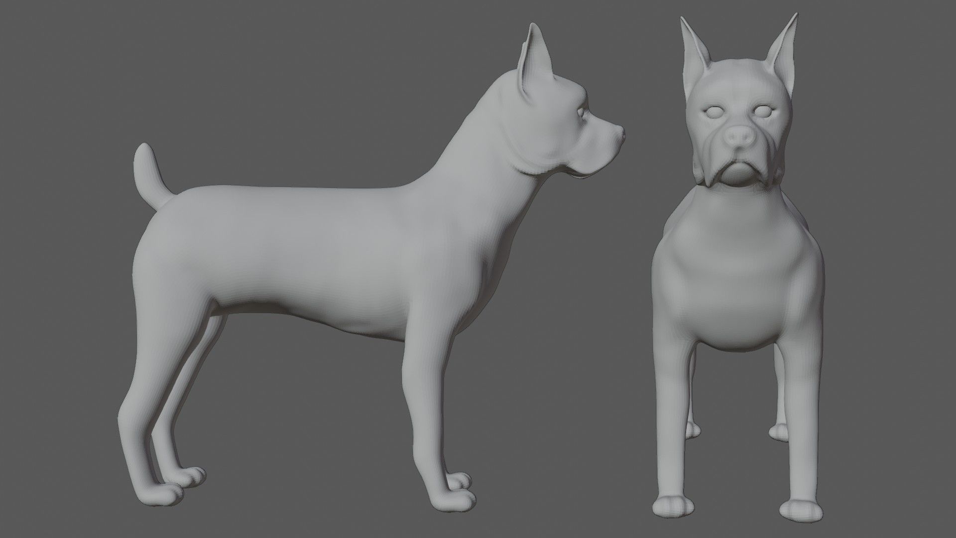 Boxer Dog Low-poly 3D model_7