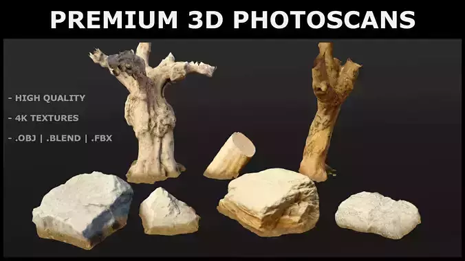 High quality Photogrammetry scans 3D model