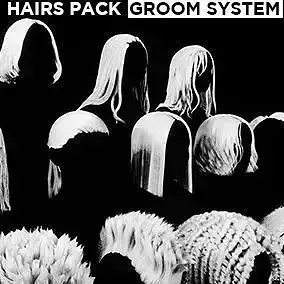 Hair Pack 3D model
