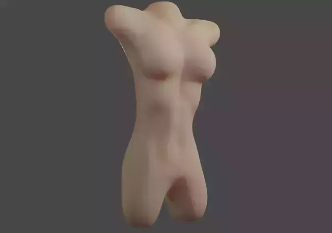 Girl body torso made of square