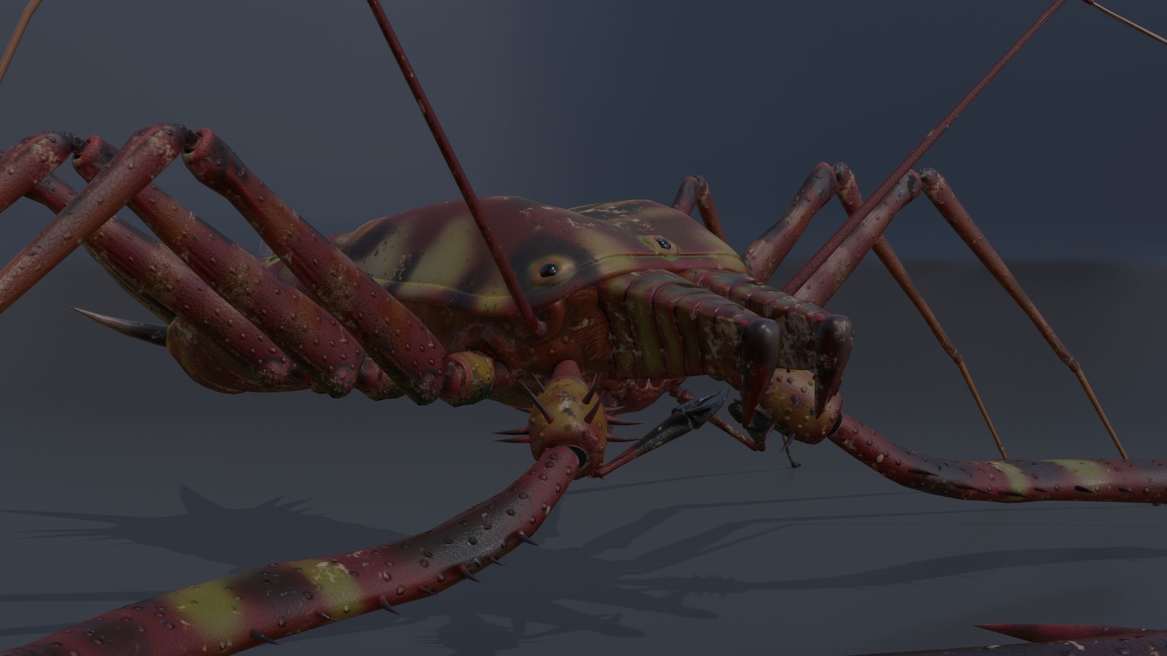 Giant Tick Low-poly 3D model_23