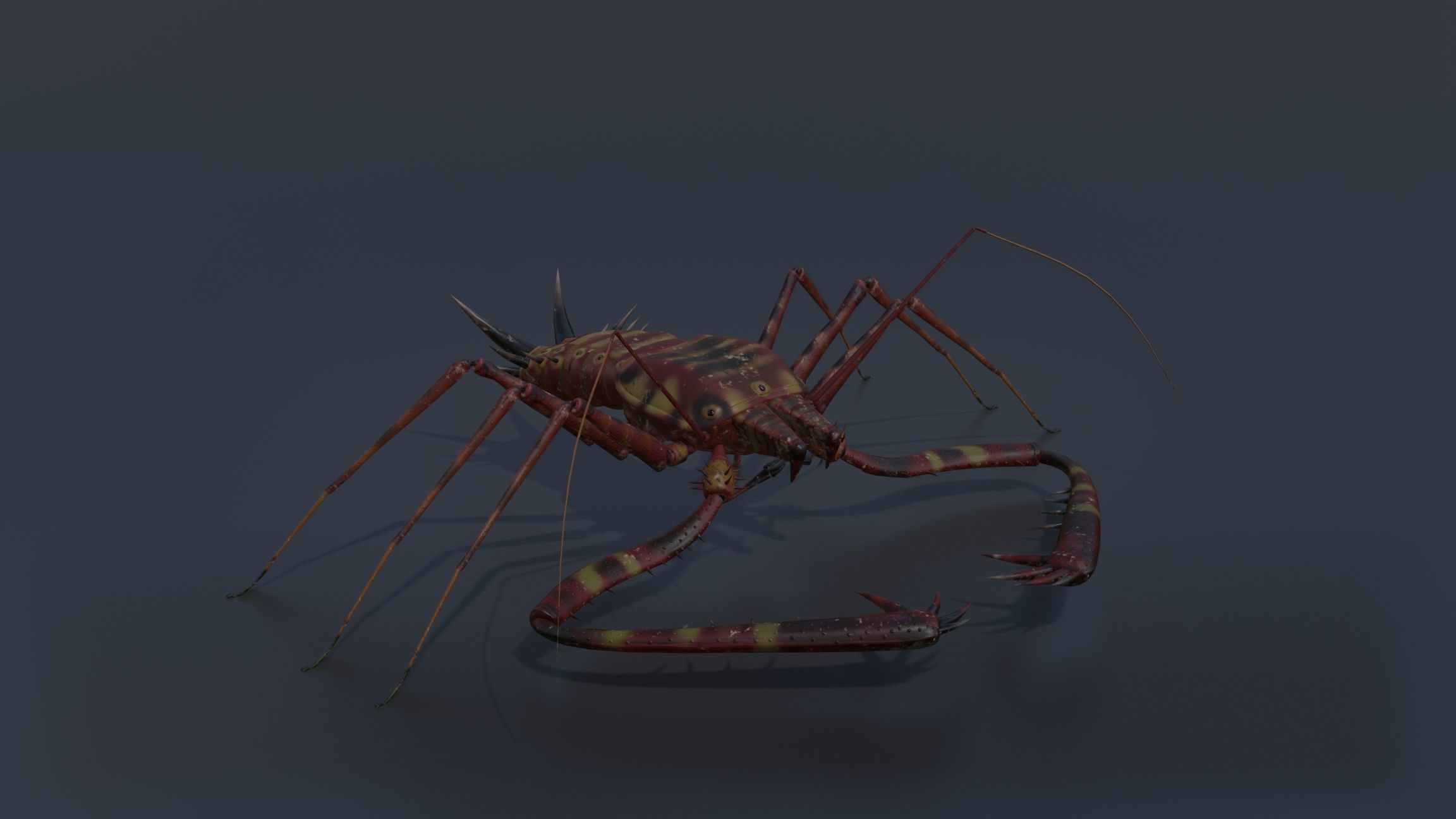 Giant Tick Low-poly 3D model_6