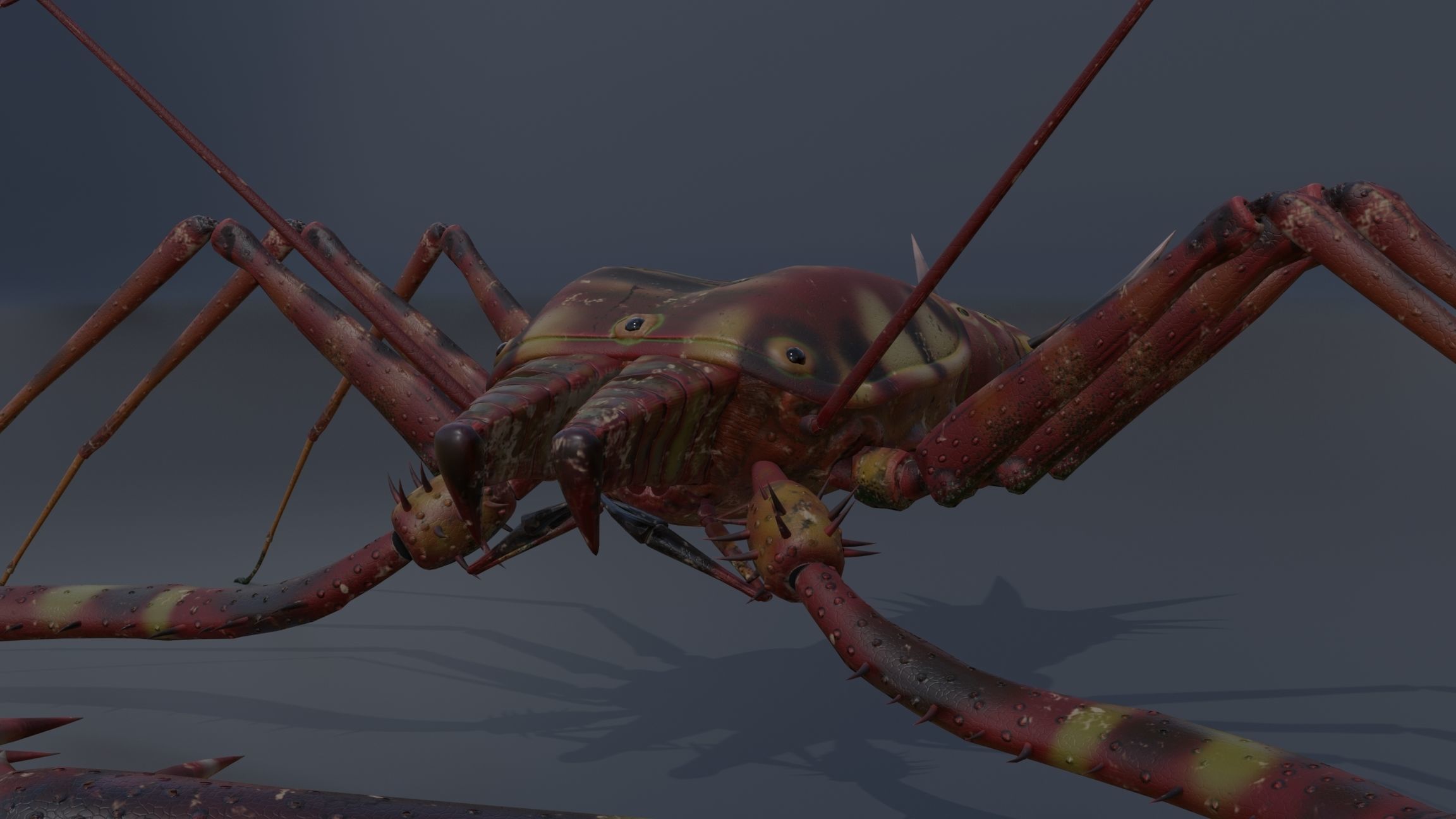 Giant Tick Low-poly 3D model_36
