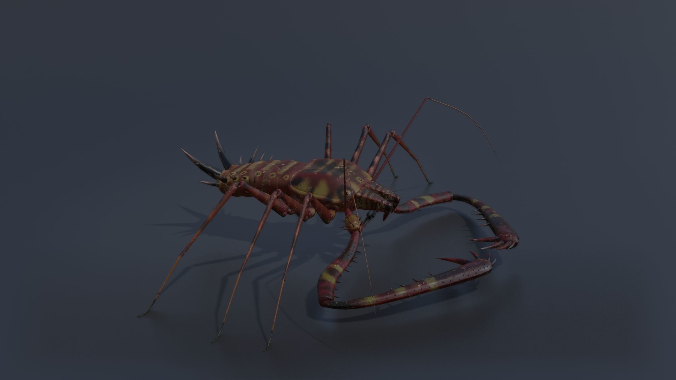 Giant Tick Low-poly 3D model_20