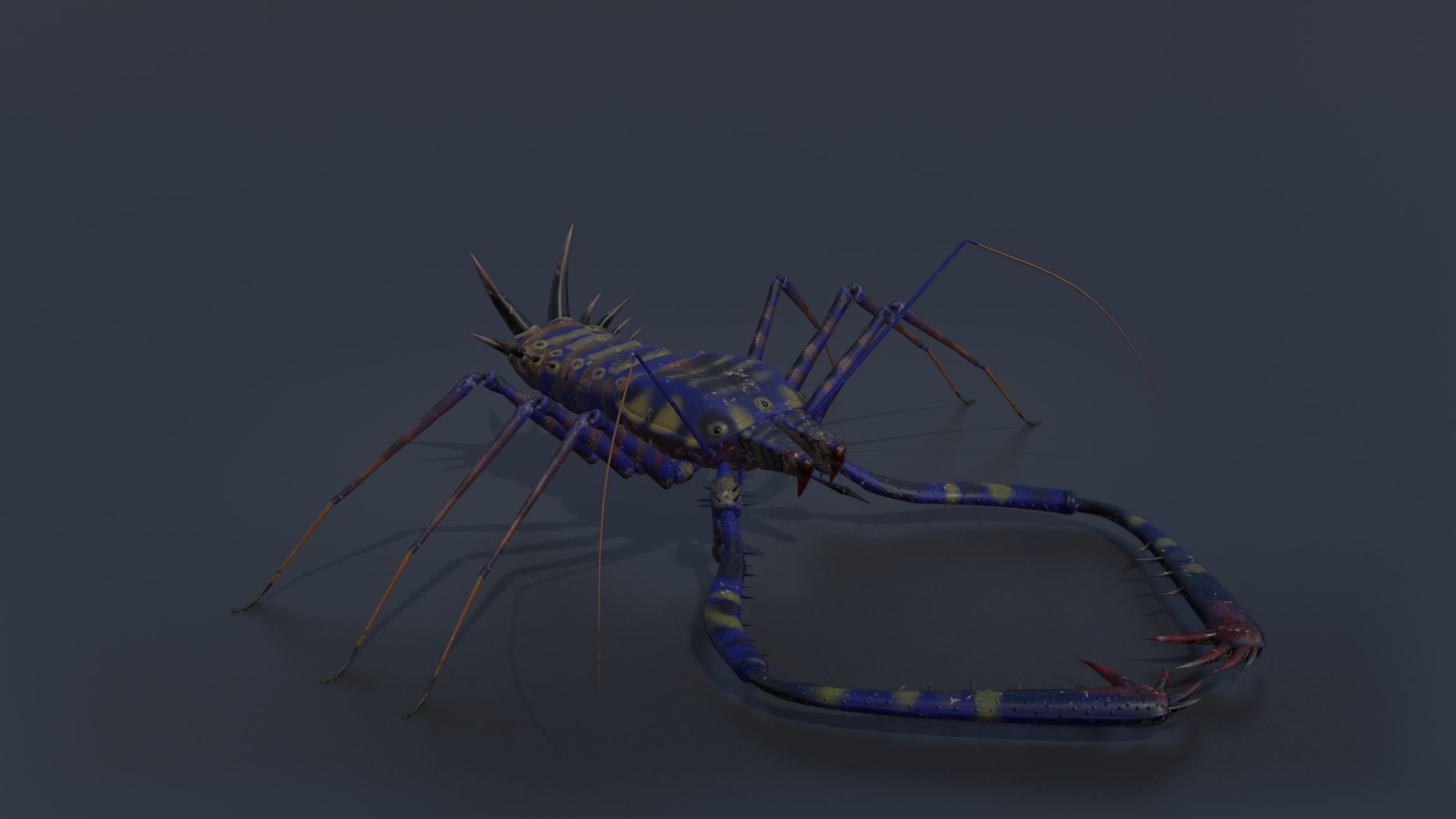 Giant Tick Low-poly 3D model_3