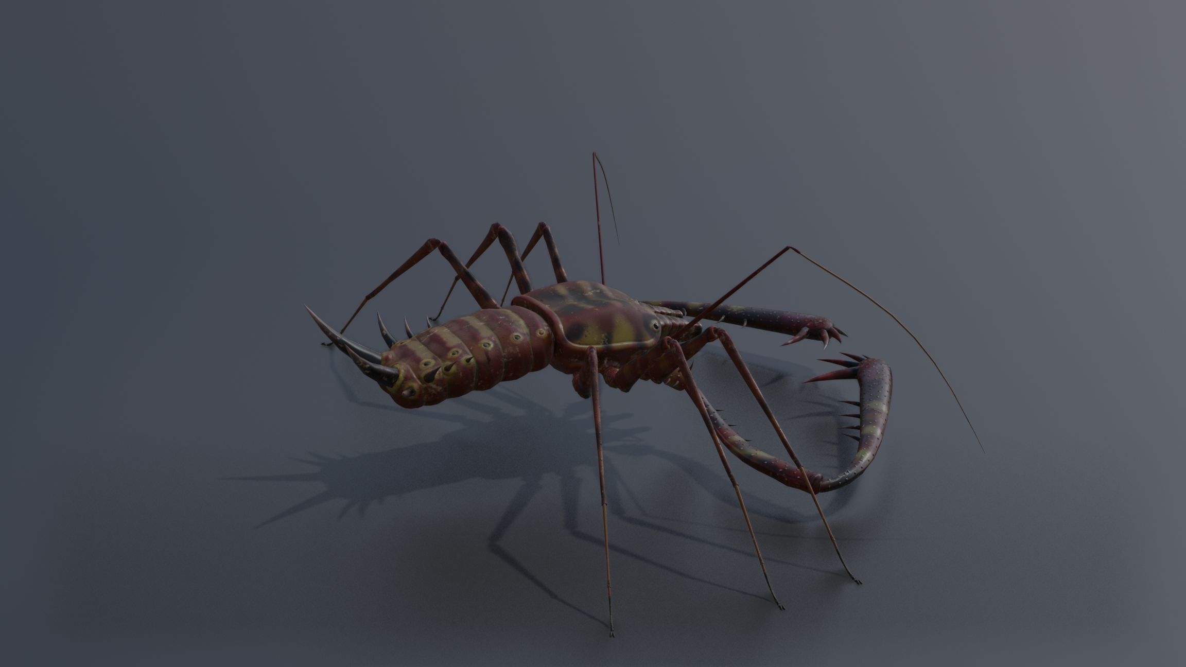Giant Tick Low-poly 3D model_17