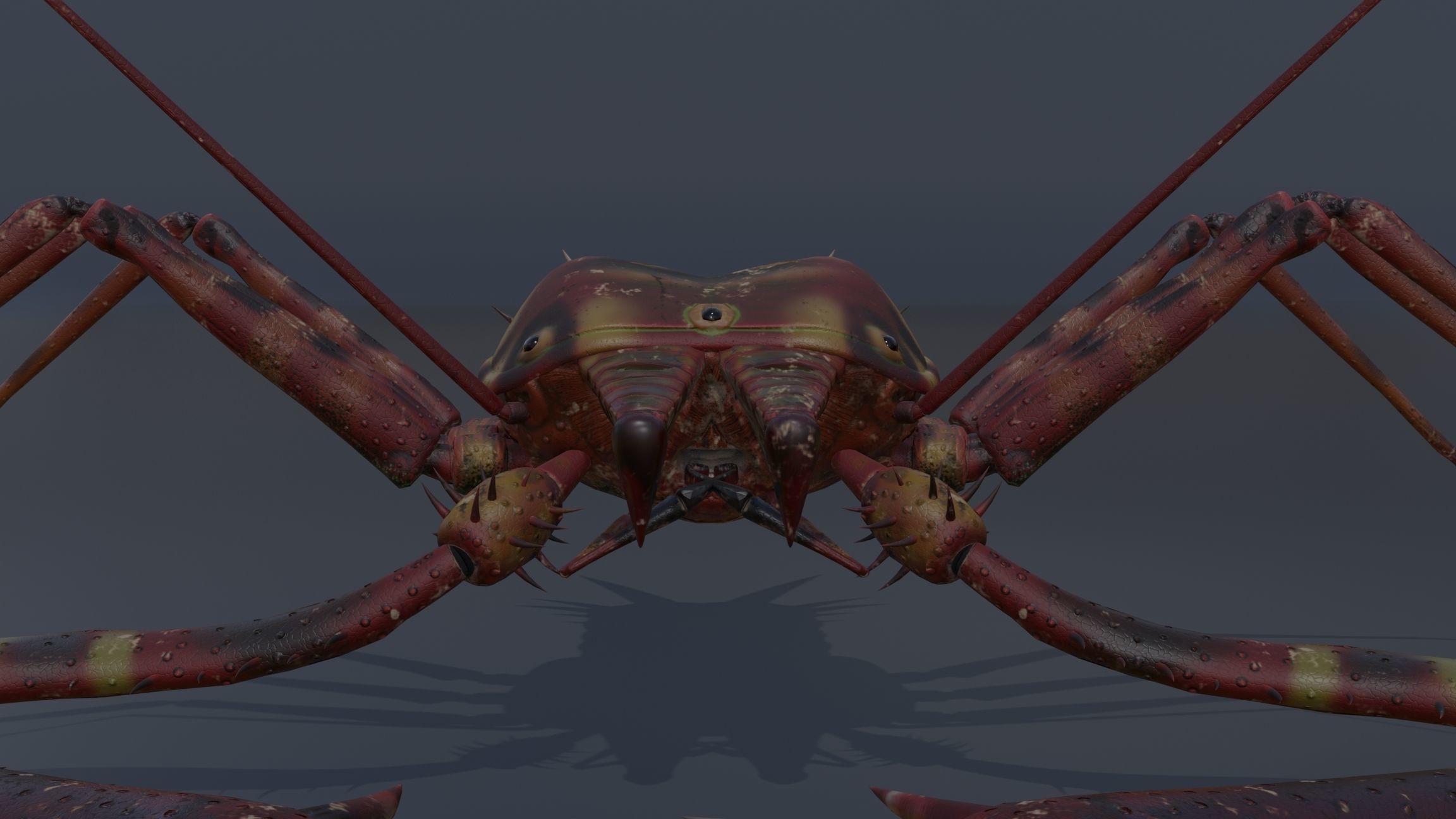 Giant Tick Low-poly 3D model_30