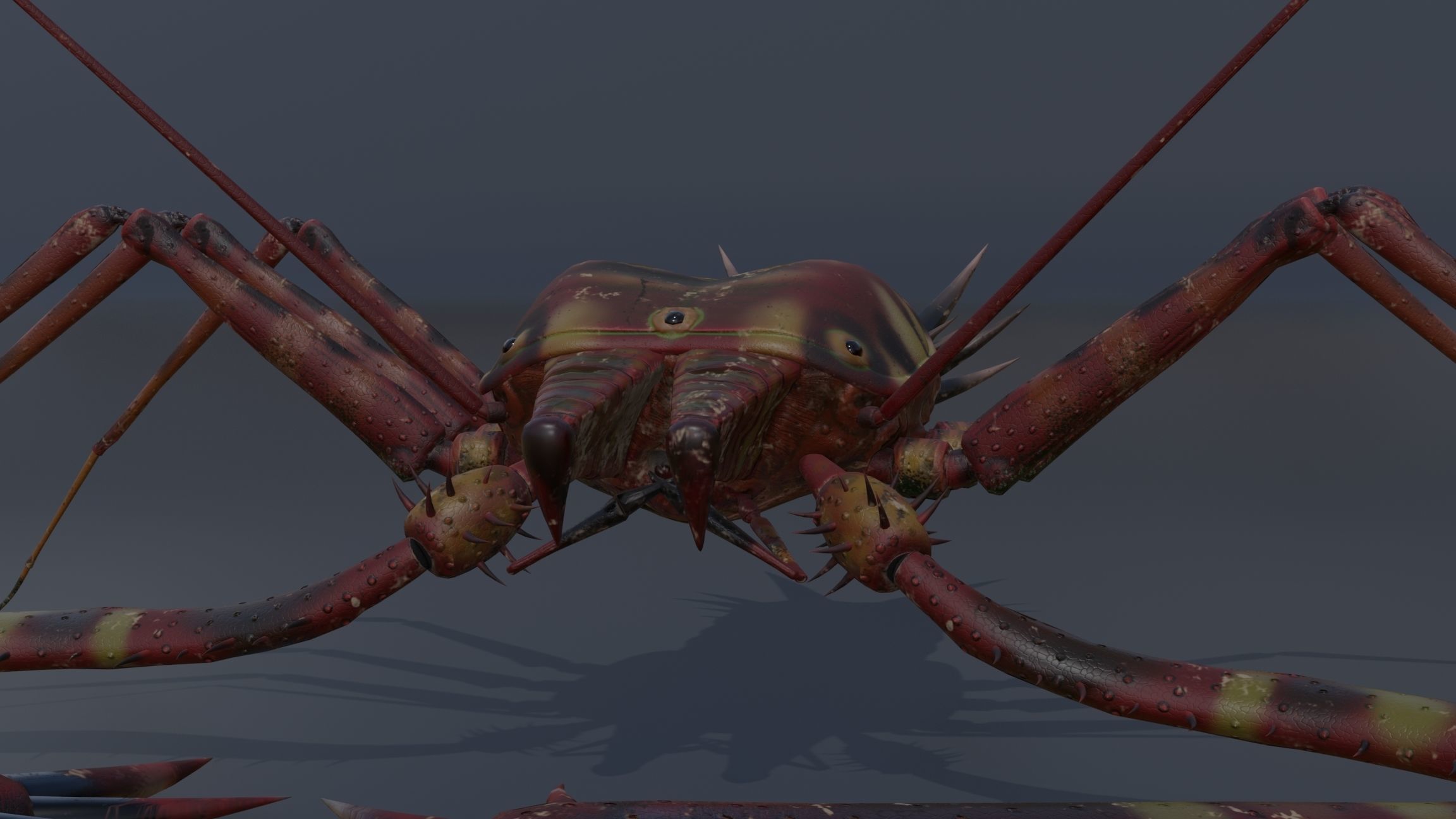 Giant Tick Low-poly 3D model_32