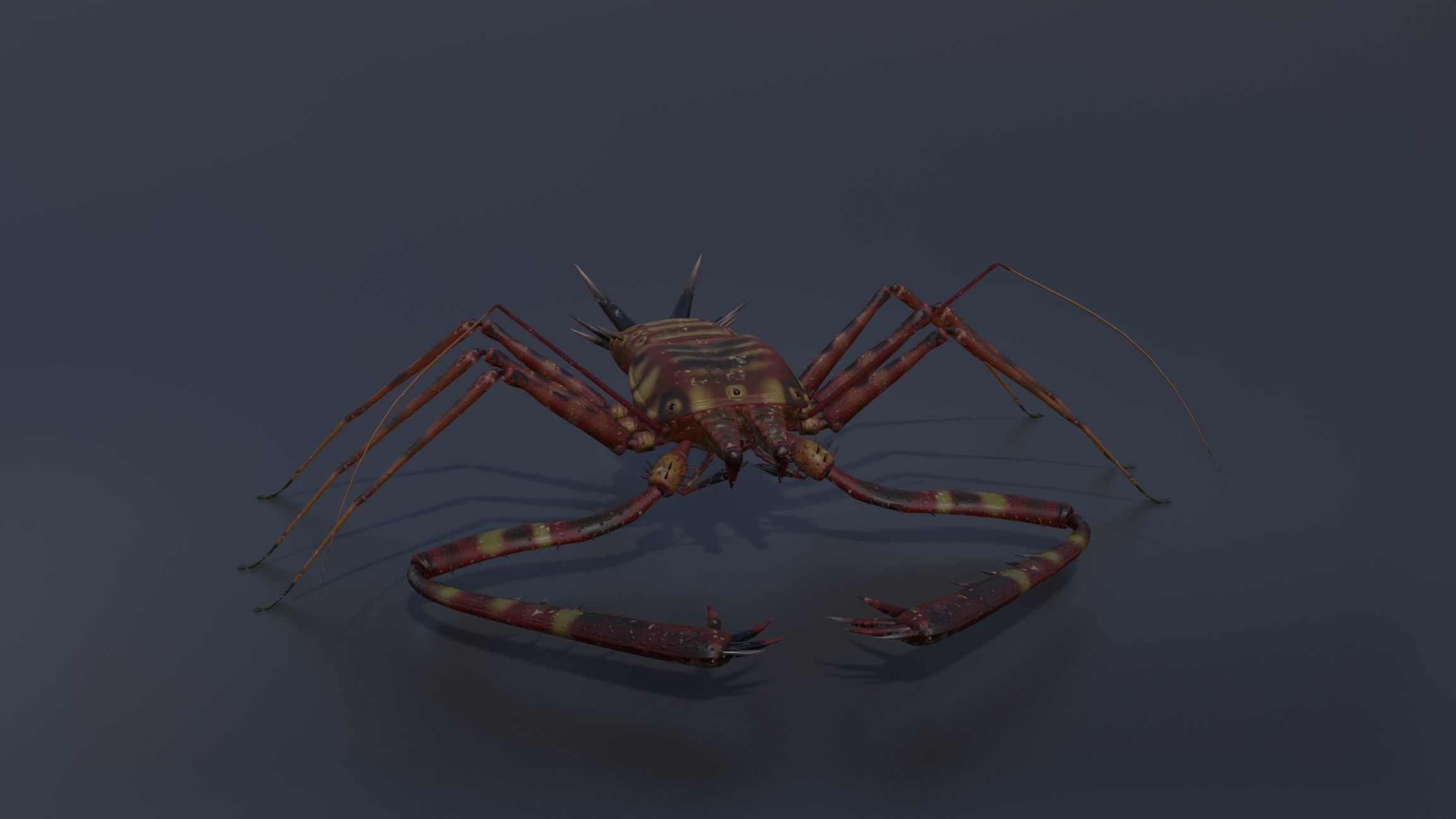 Giant Tick Low-poly 3D model_8