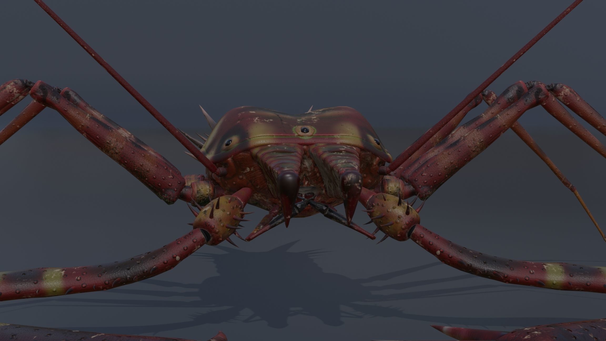 Giant Tick Low-poly 3D model_29
