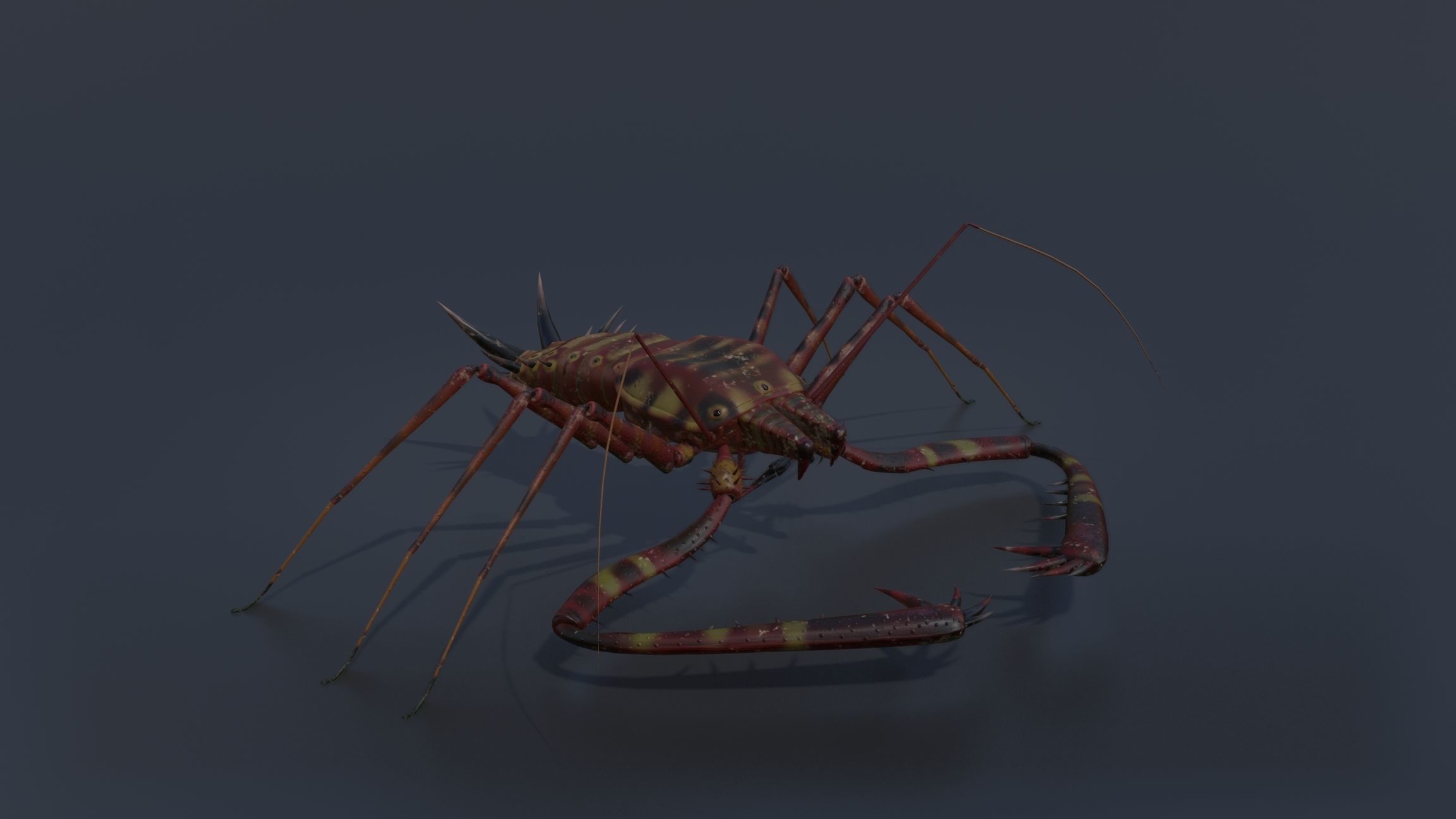 Giant Tick Low-poly 3D model_5