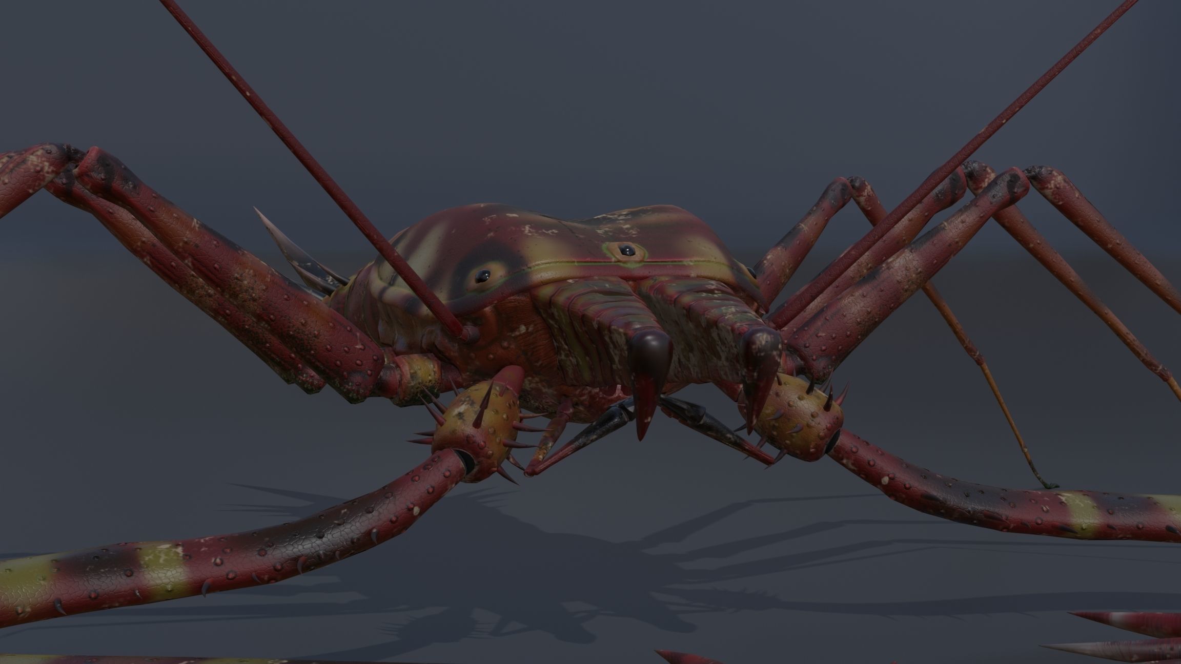 Giant Tick Low-poly 3D model_27