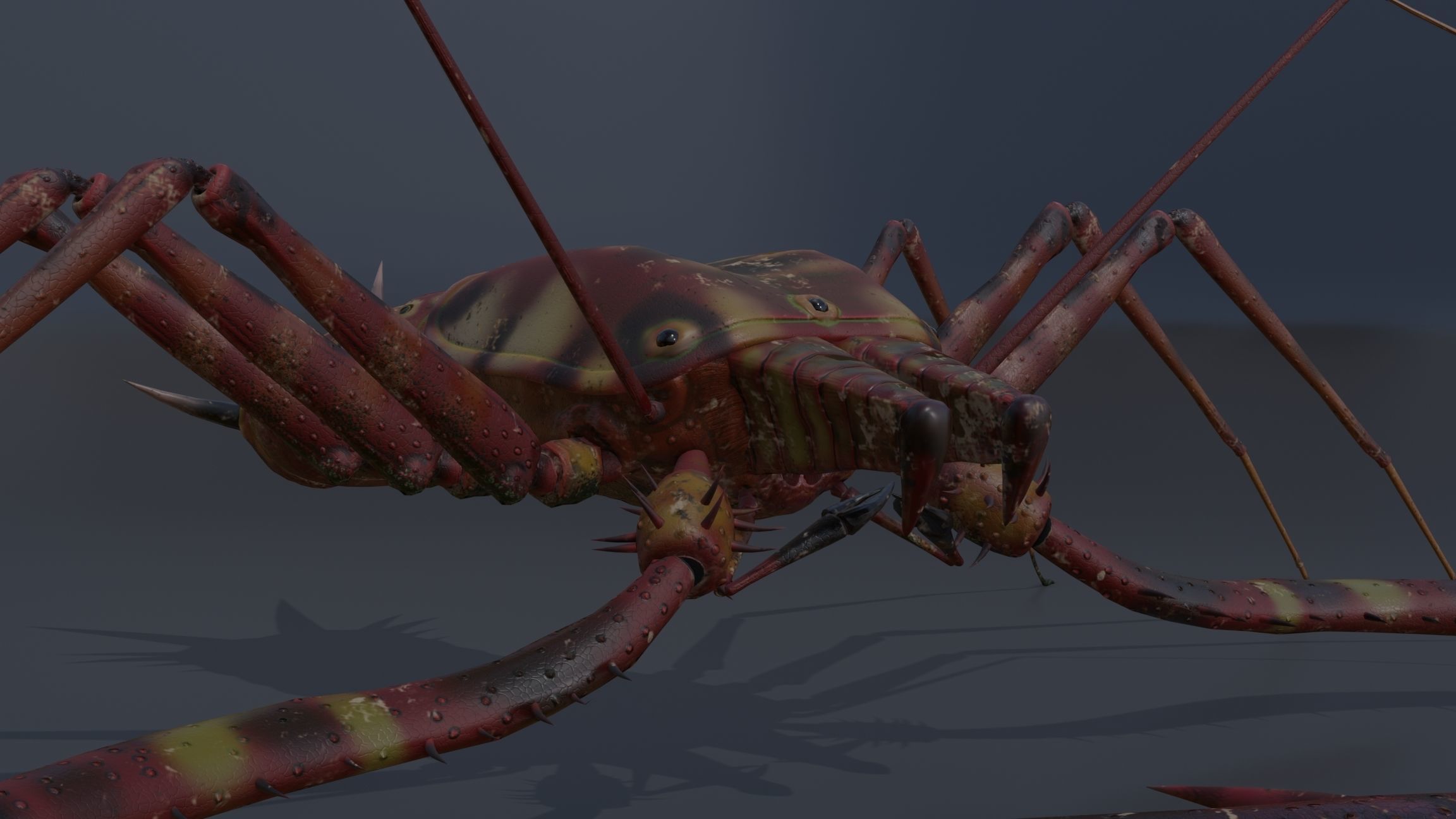Giant Tick Low-poly 3D model_24