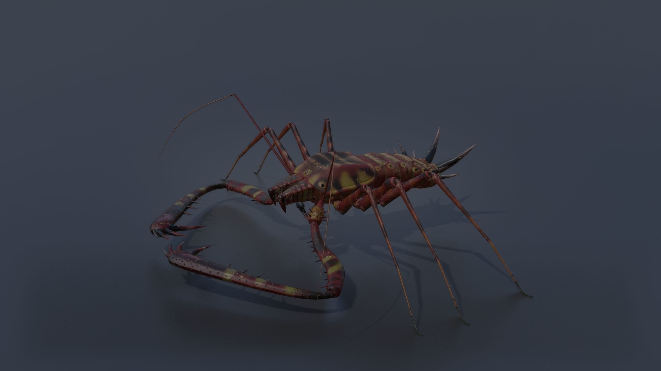 Giant Tick Low-poly 3D model_11