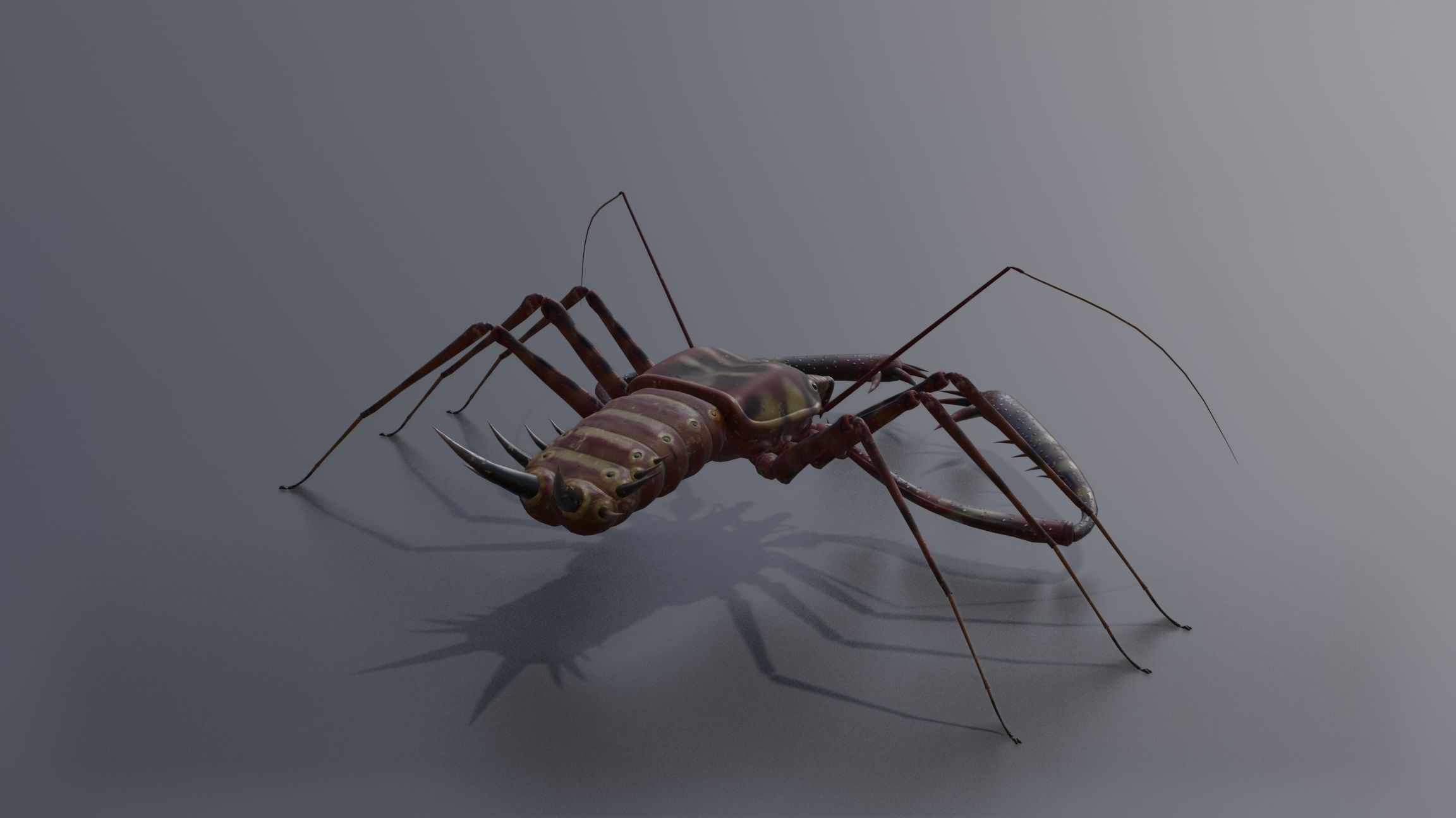 Giant Tick Low-poly 3D model_16