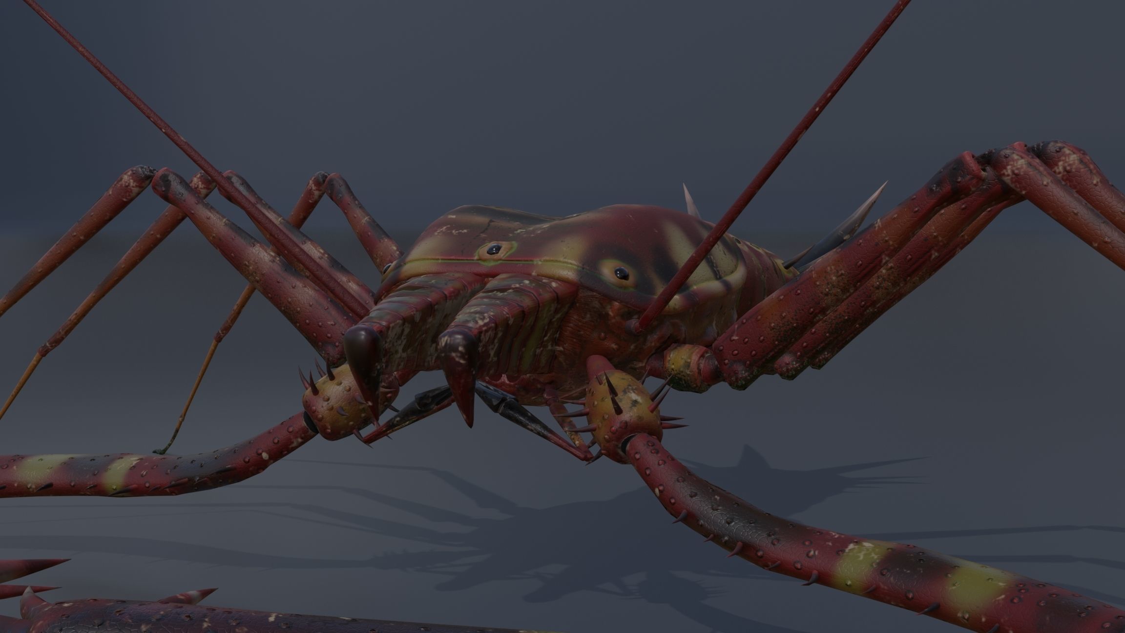 Giant Tick Low-poly 3D model_35