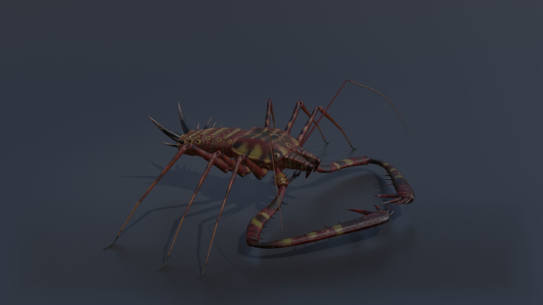 Giant Tick Low-poly 3D model_21