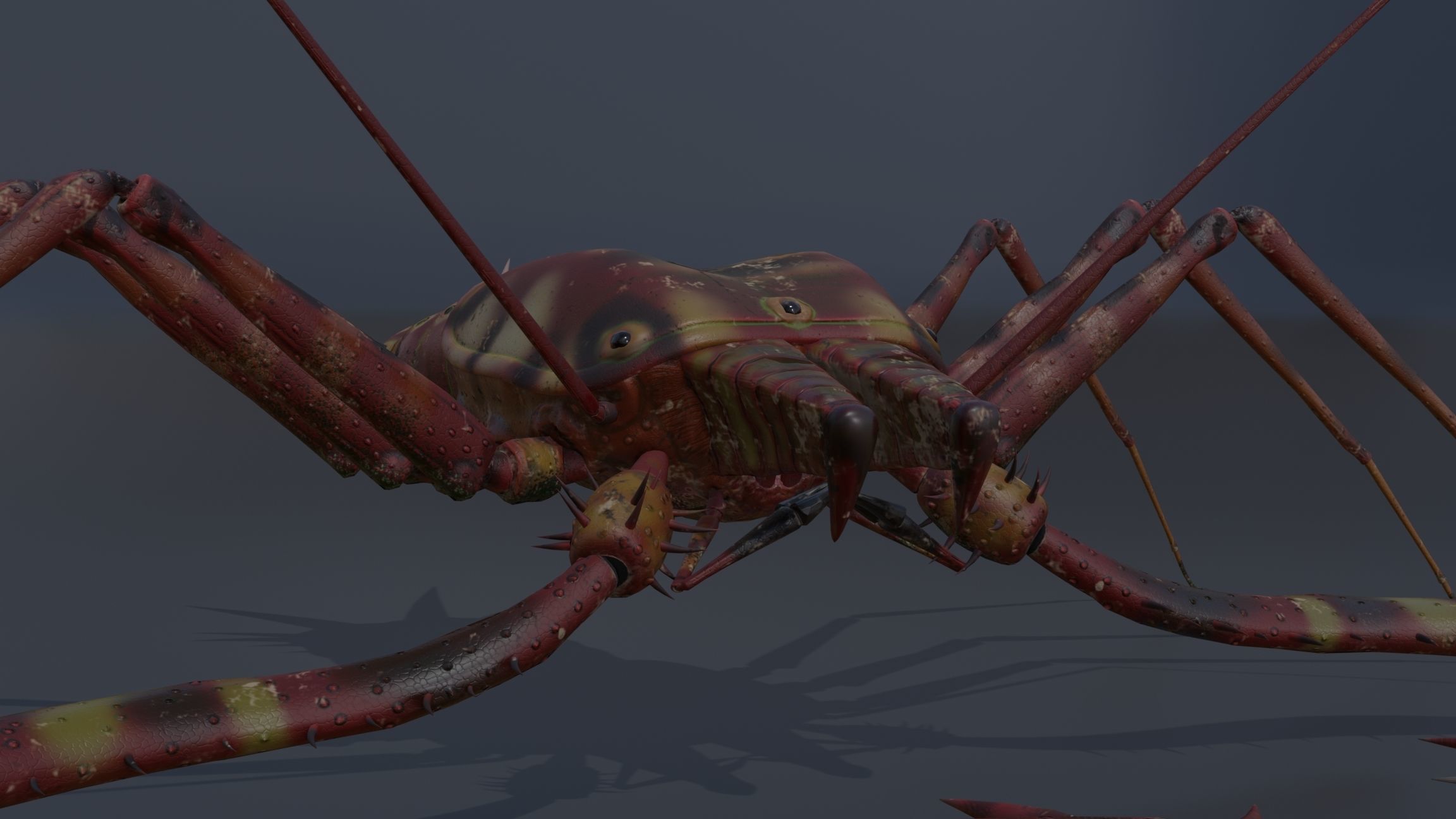 Giant Tick Low-poly 3D model_26